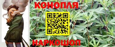 ALPHA PVP Комсомольск-на-Амуре