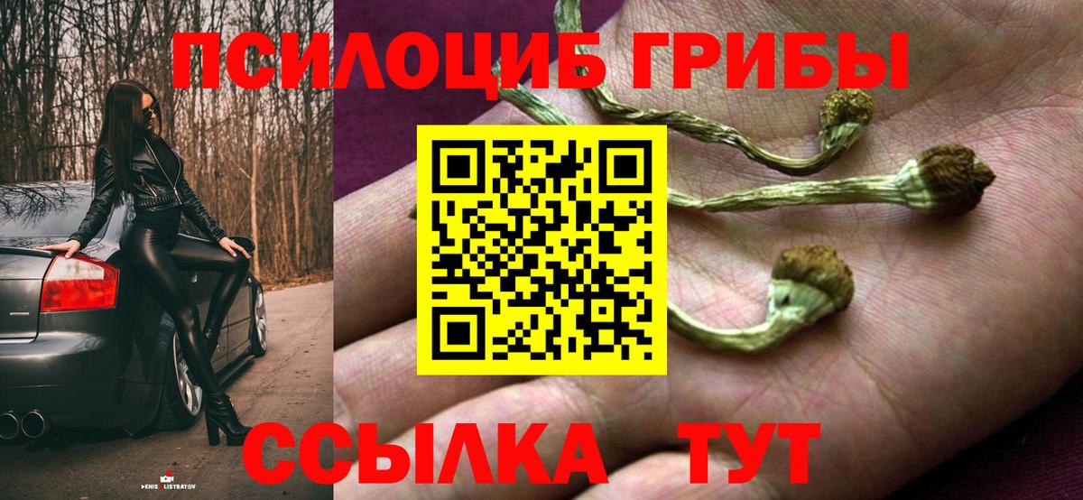 Галлюциногенные грибы MAGIC MUSHROOMS Калуга