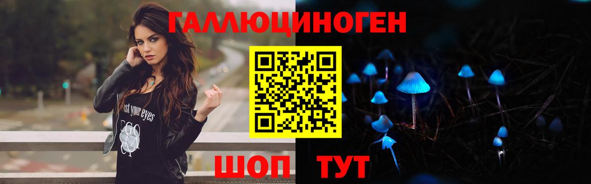 Калуга  купить  сайты  Вход с VPN  Псилоцибиновые грибы Cubensis 